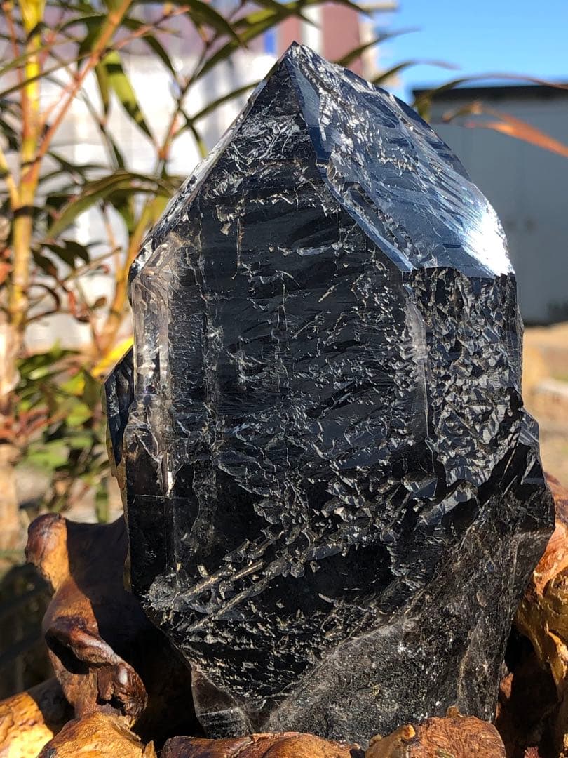 アラシャンゴビ瑪瑙 黒山瑪瑙 血脈石 原石 7個 希少 置物 ゴビ瑪瑙