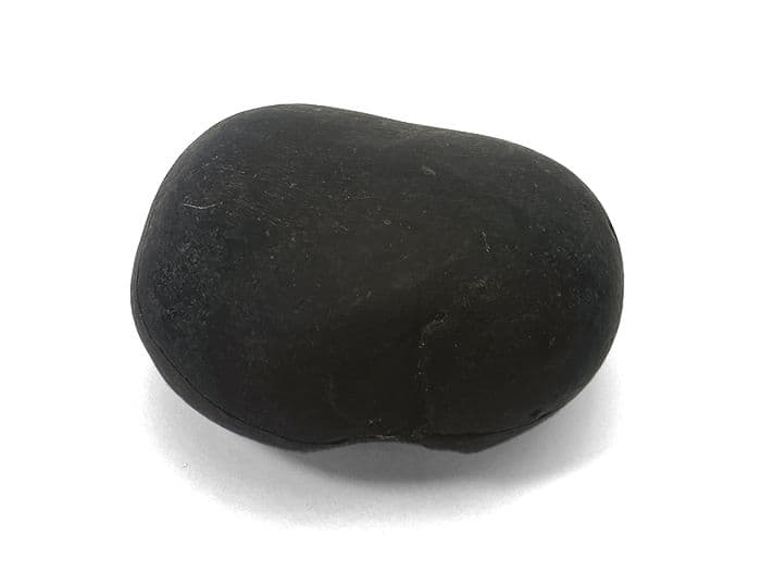 【超希少な太古の石】レアストーン★シャリグラムの原石☆一点物限定☆NO.8