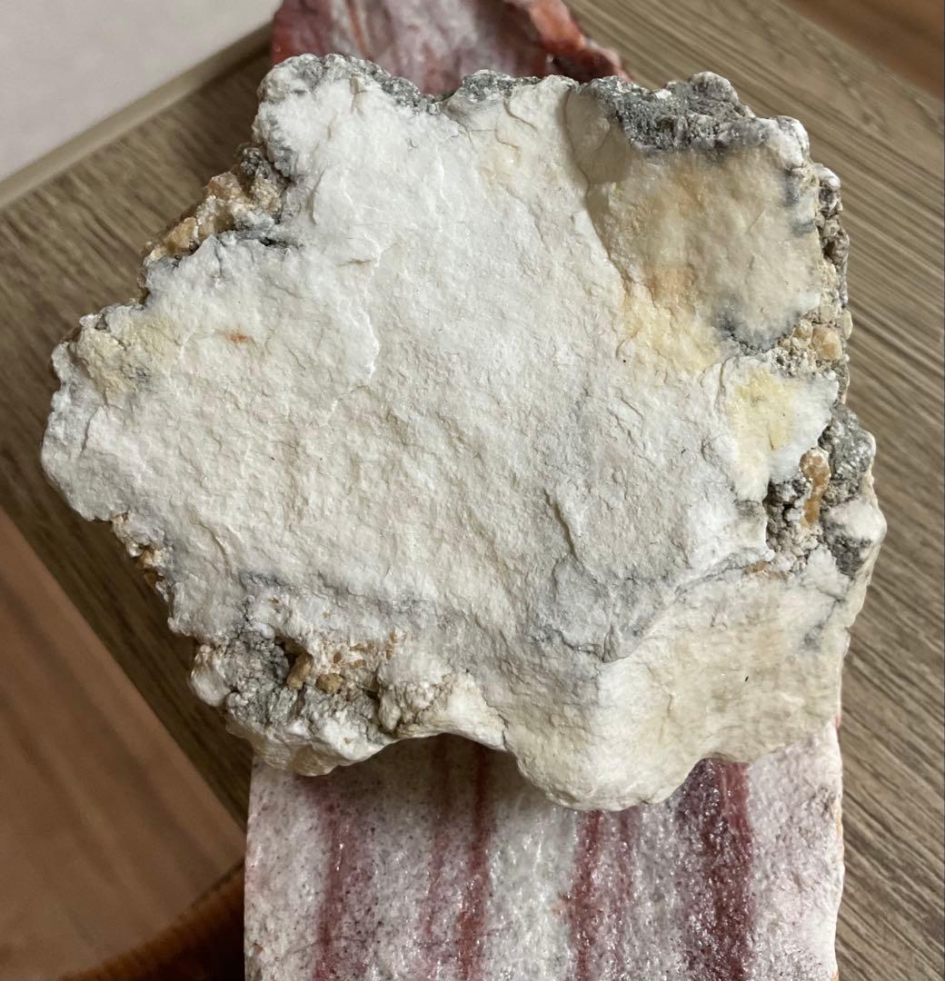 「静寂を宿す ― ナチュラルハウライト原石」