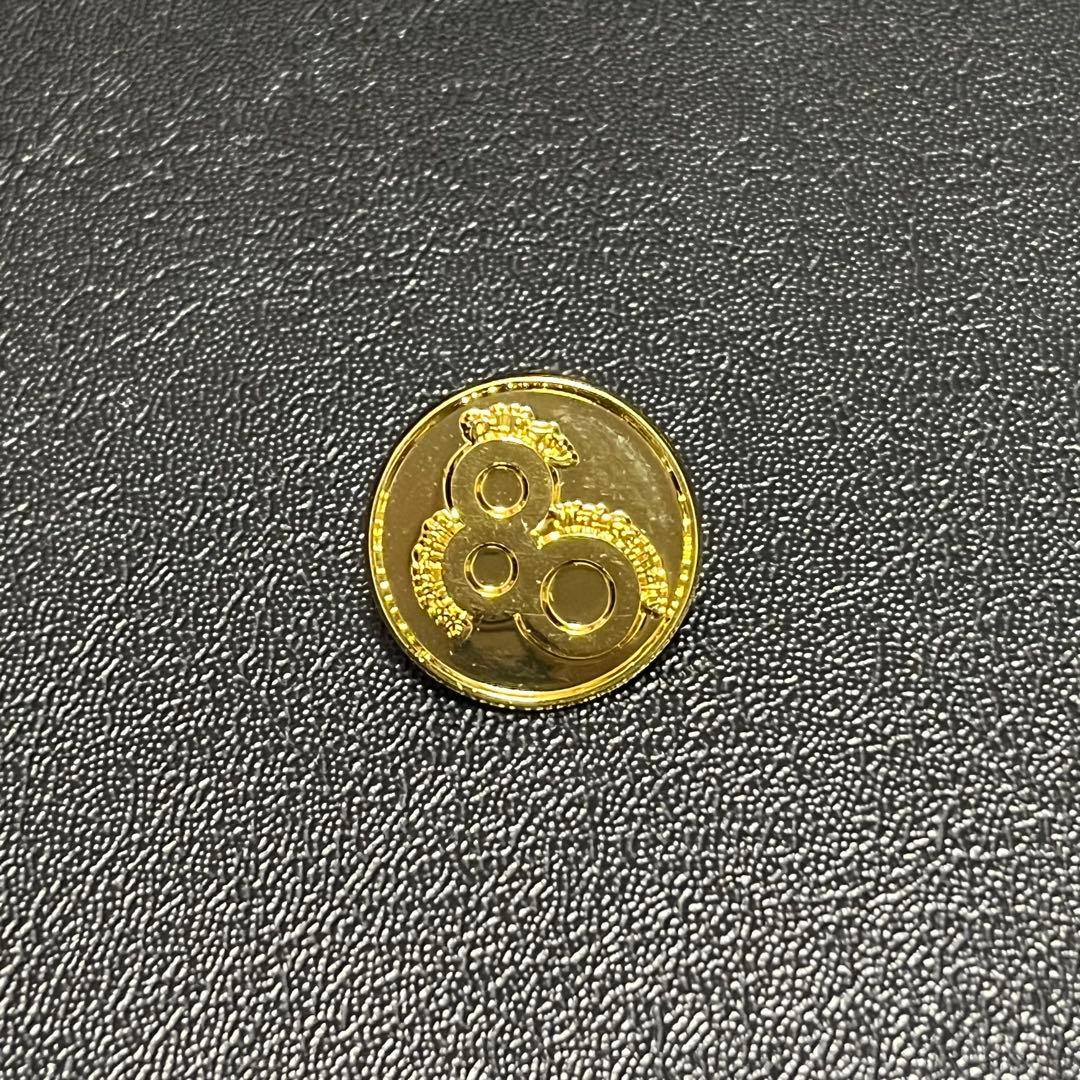 大阪関西万博 ドイツパビリオン 会場限定ピンバッジ ゴールド 金色 お