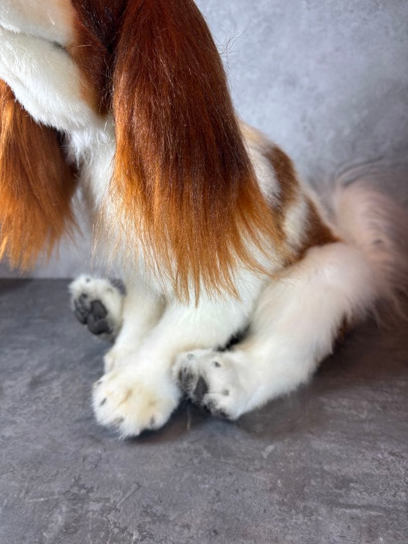 海外作家様/アートドール/キャバリア/犬