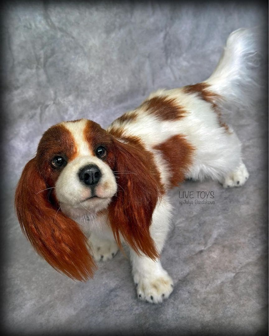 海外作家様/アートドール/キャバリア/犬