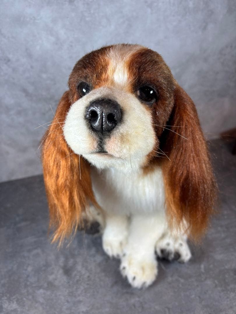 海外作家様/アートドール/キャバリア/犬