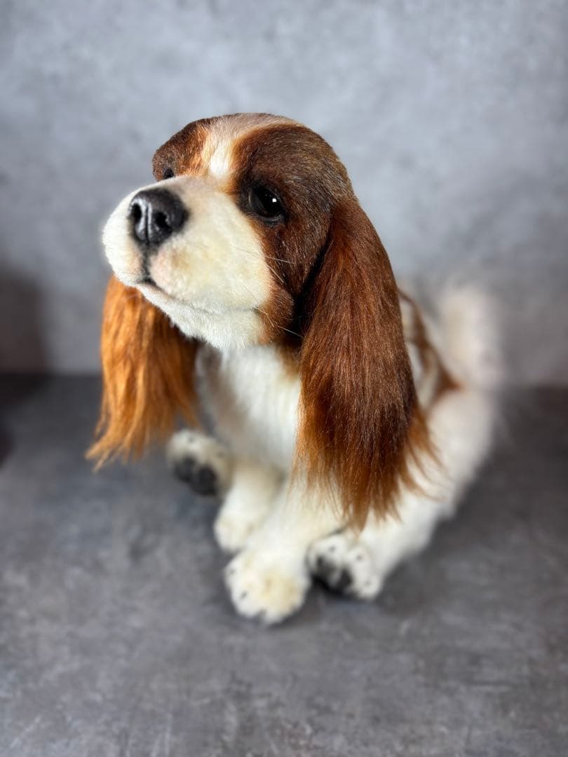 海外作家様/アートドール/キャバリア/犬