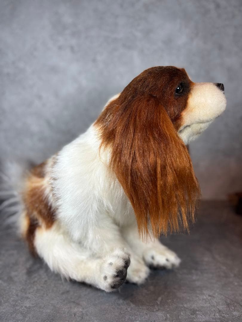 海外作家様/アートドール/キャバリア/犬