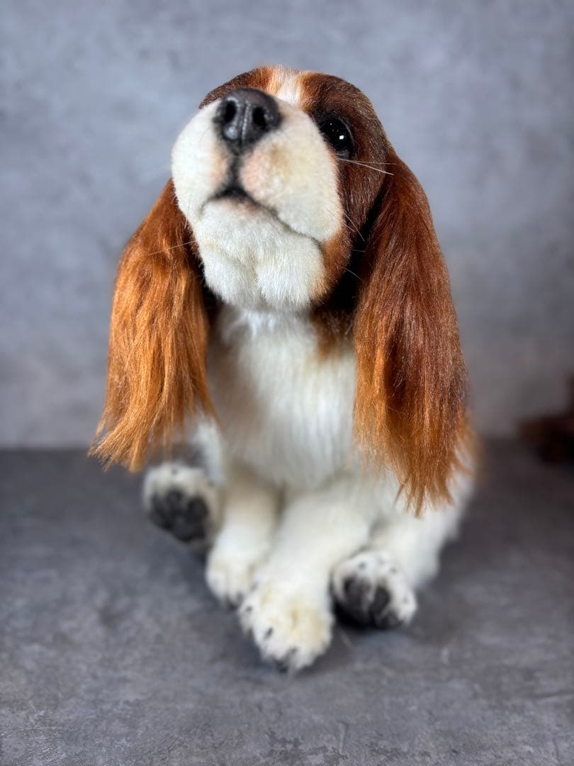 海外作家様/アートドール/キャバリア/犬