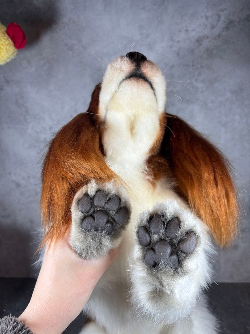 海外作家様/アートドール/キャバリア/犬