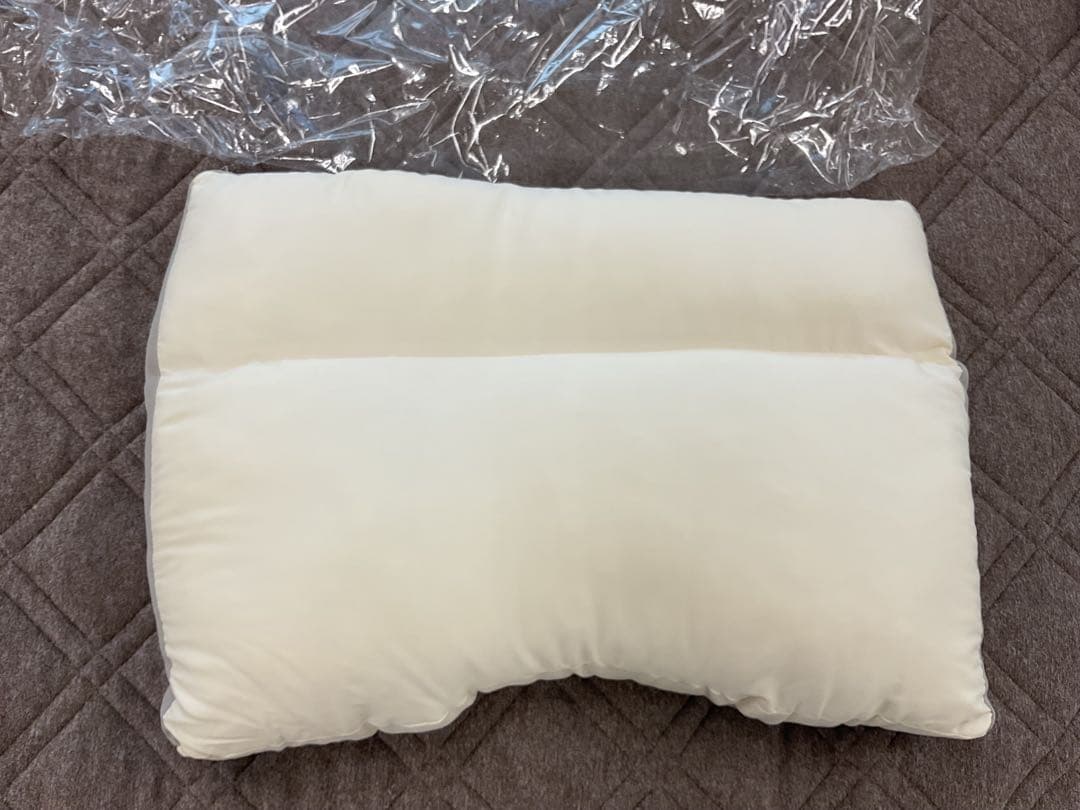 Francebed NSFpillow ソロテックス　ハイ