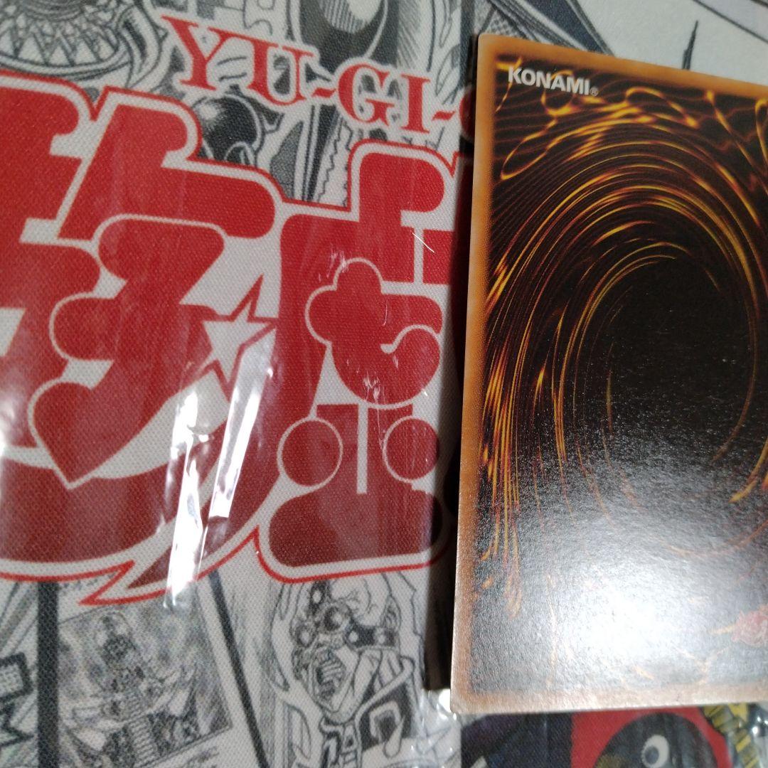 エラーカード ニスズレ ニスが濃い 暗黒騎士ガイア 遊戯王 初期 - メルカリ