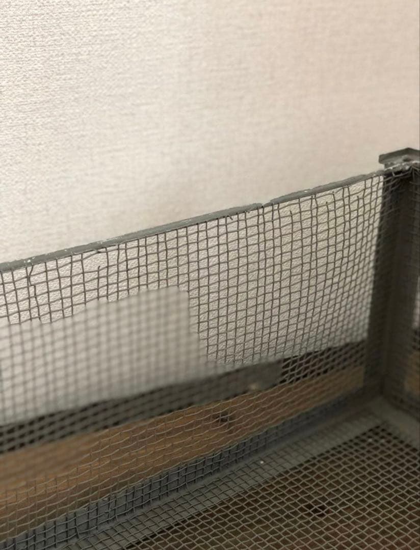 アイアン　メッシュボックス　アンティーク　古道具　ヴィンテージ　ブロカントレトロ