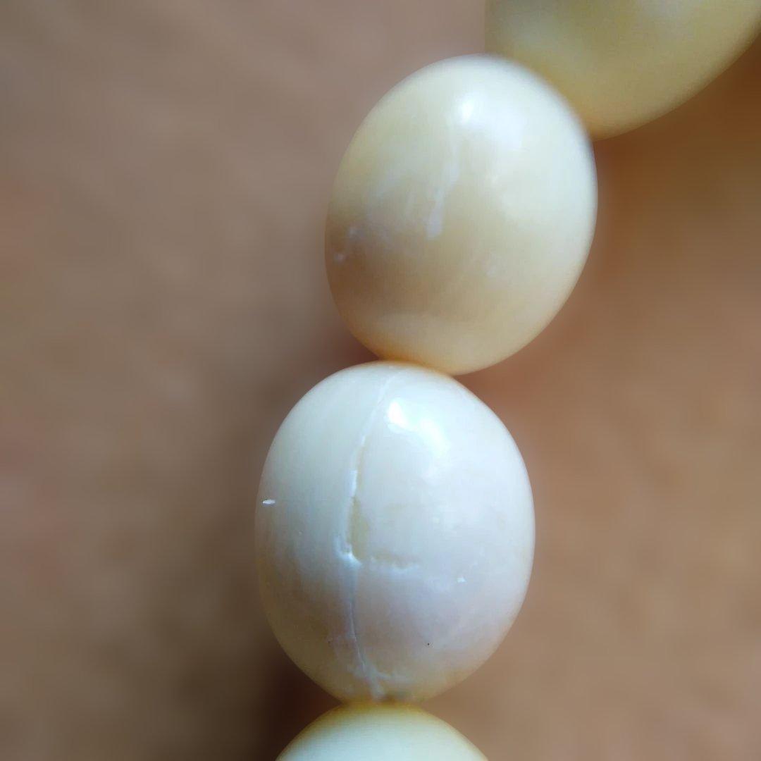 鯨歯　マッコウ鯨　牙玉ブレスレット　22.5㎝