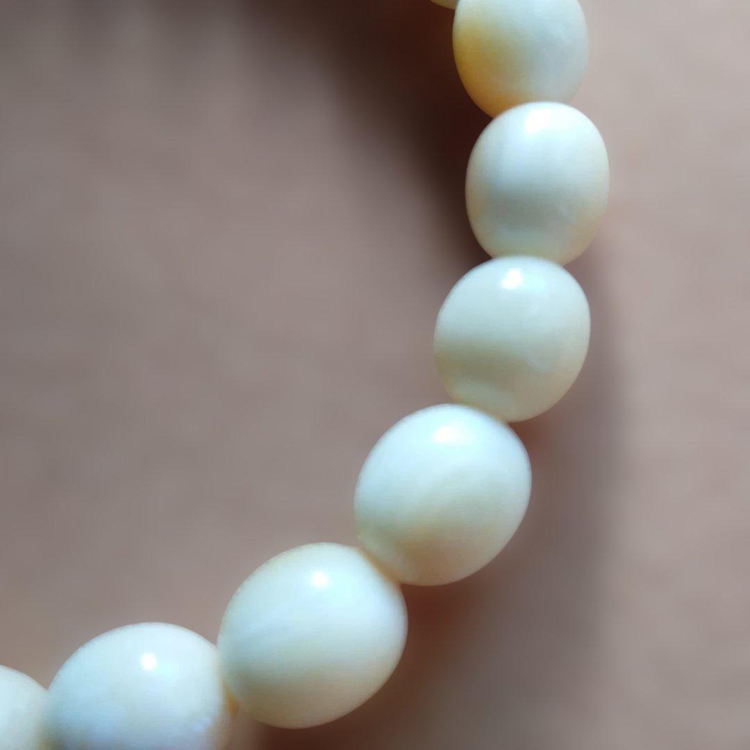 鯨歯　マッコウ鯨　牙玉ブレスレット　22.5㎝