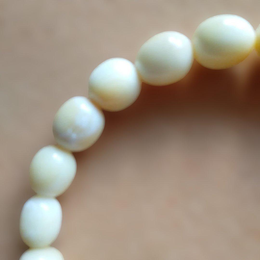 鯨歯　マッコウ鯨　牙玉ブレスレット　22.5㎝