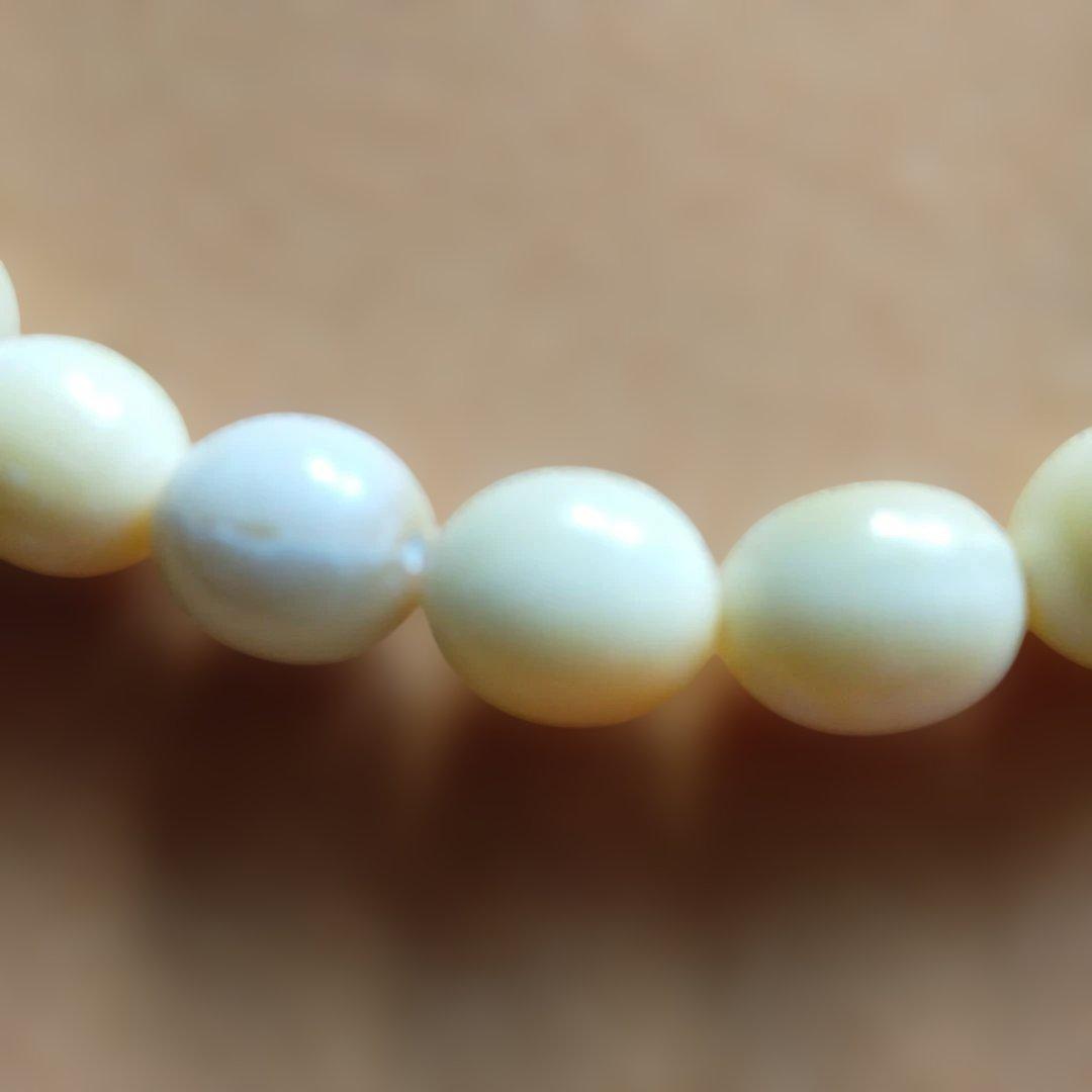 鯨歯　マッコウ鯨　牙玉ブレスレット　22.5㎝