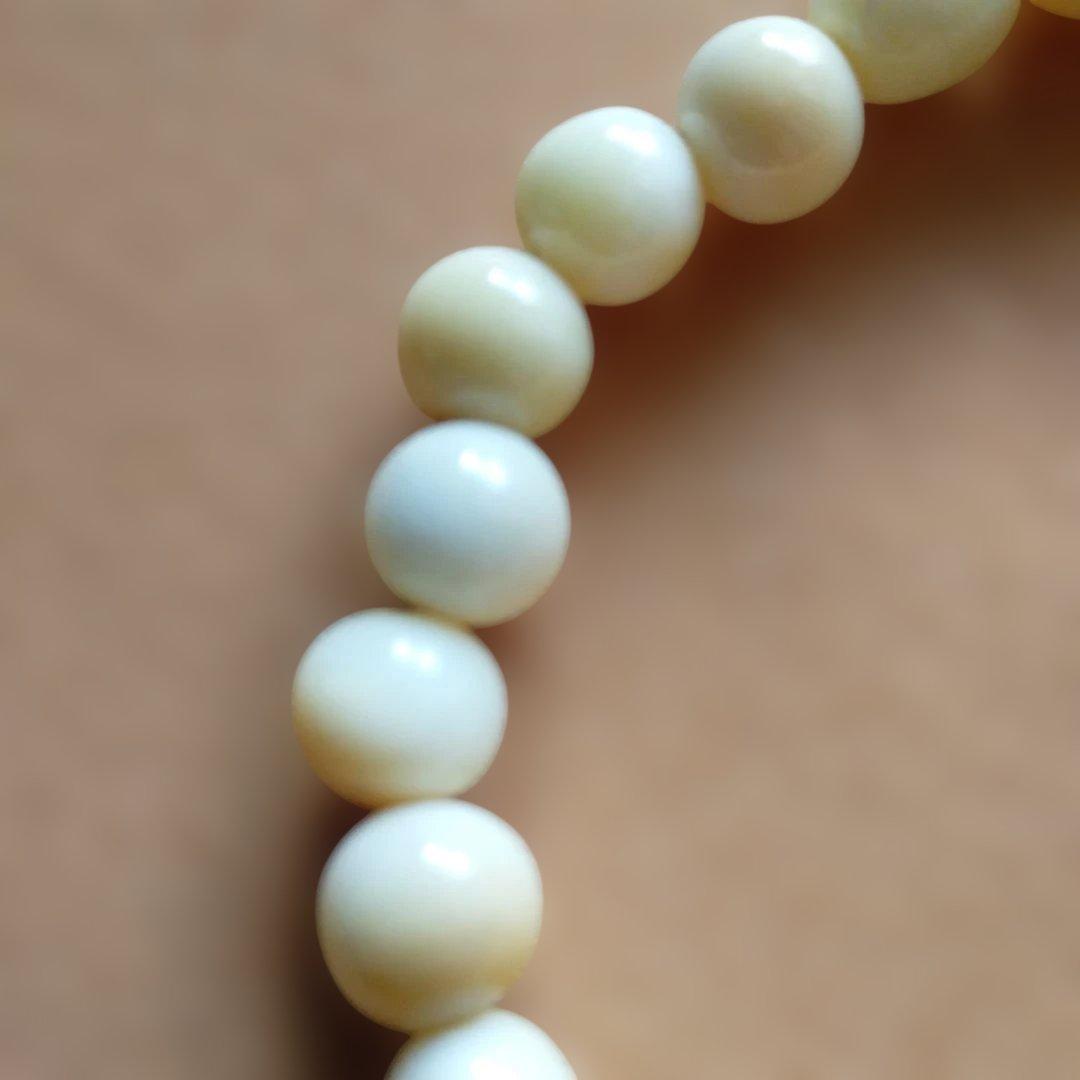 鯨歯　マッコウ鯨　牙玉ブレスレット　22.5㎝