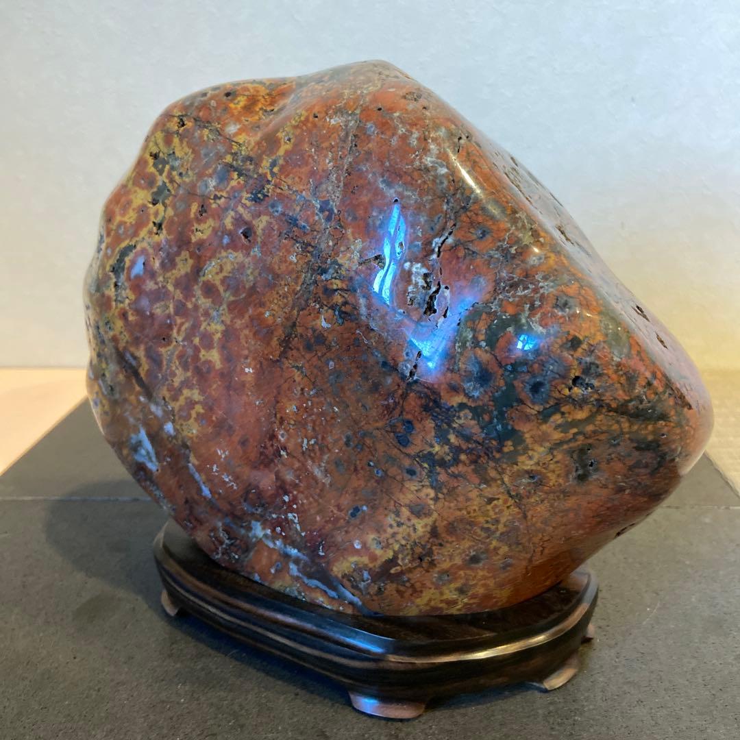 根尾桜石　7.9kg ★ 鑑賞石　菊花石　桜石