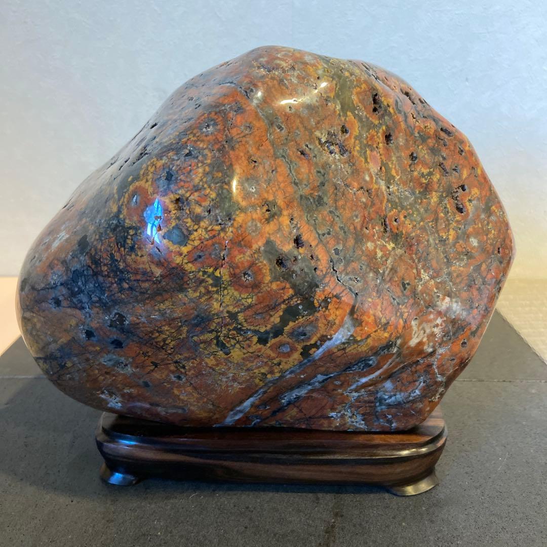 根尾桜石　7.9kg ★ 鑑賞石　菊花石　桜石