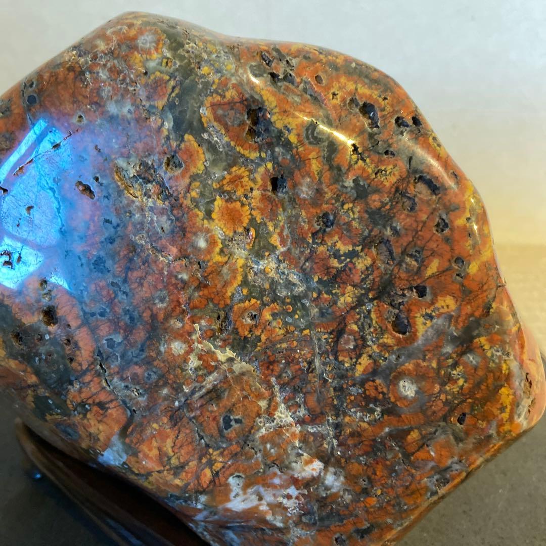 根尾桜石　7.9kg ★ 鑑賞石　菊花石　桜石