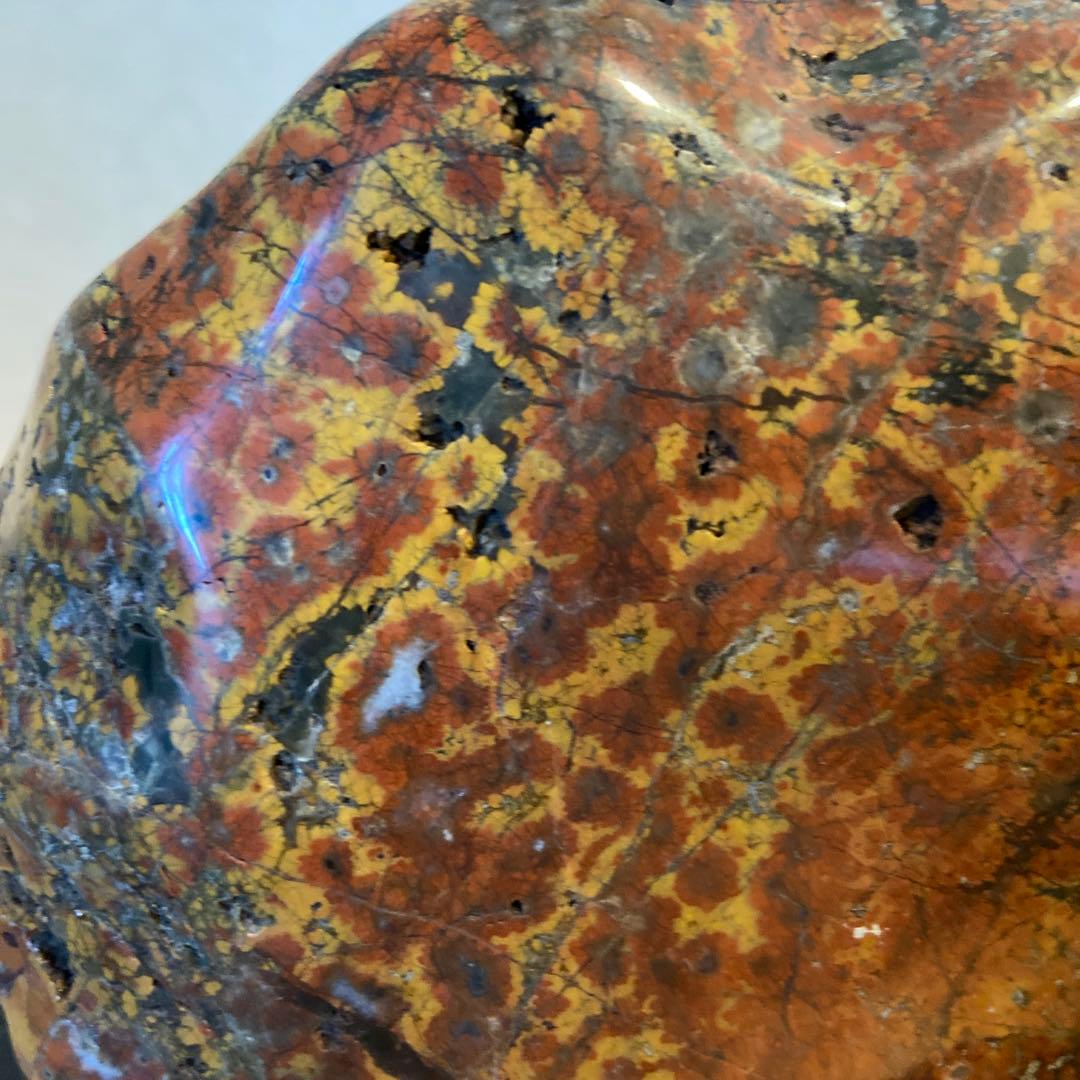 根尾桜石　7.9kg ★ 鑑賞石　菊花石　桜石