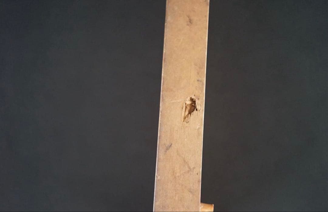 菓子型 特大型の鯛 タイ 35.9×16cm 和菓子 古道具 アンティーク 木彫