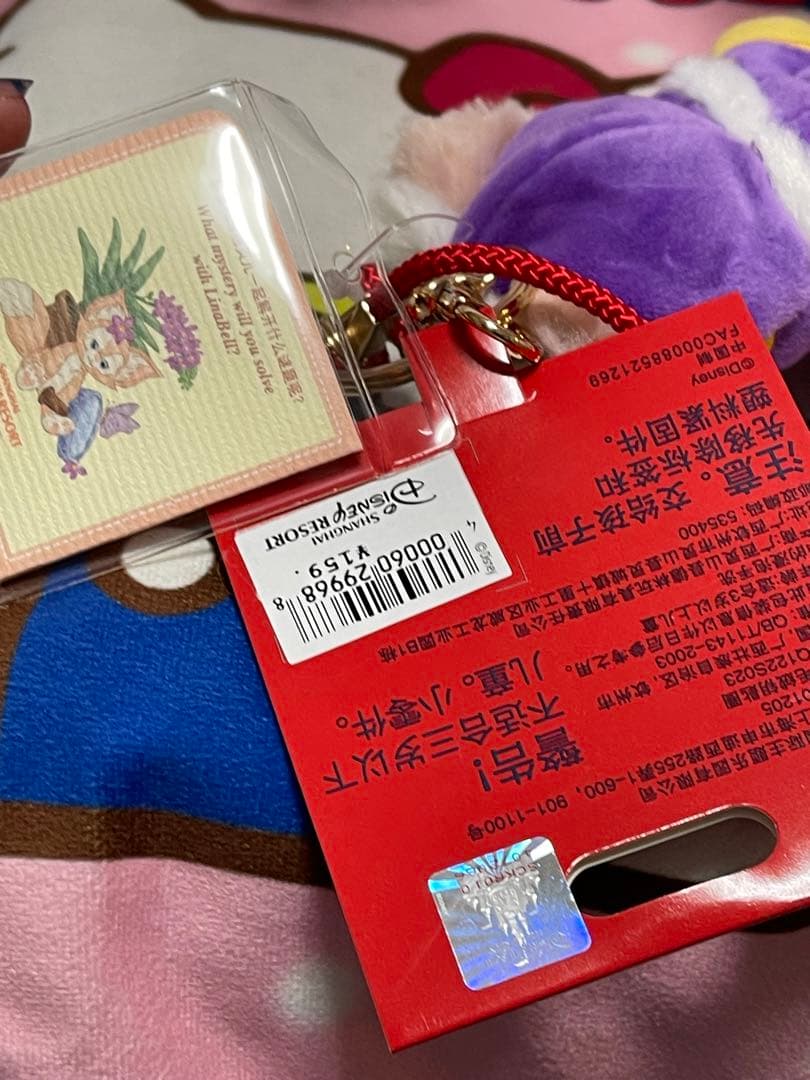 上海ディズニーランド  2022正月寅年 リーナベル とキーチェーン　 写真の子