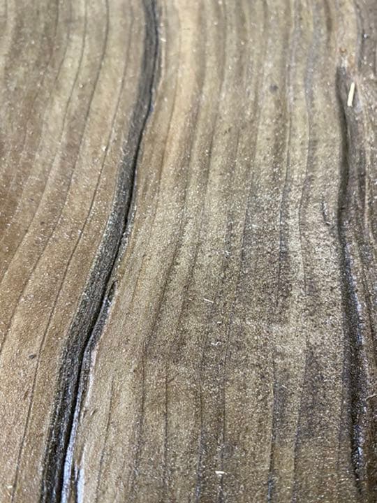 [即購入OK] 鳥海山神代杉　耳付き一枚板　新品未使用　DIY素材　無垢材　土埋