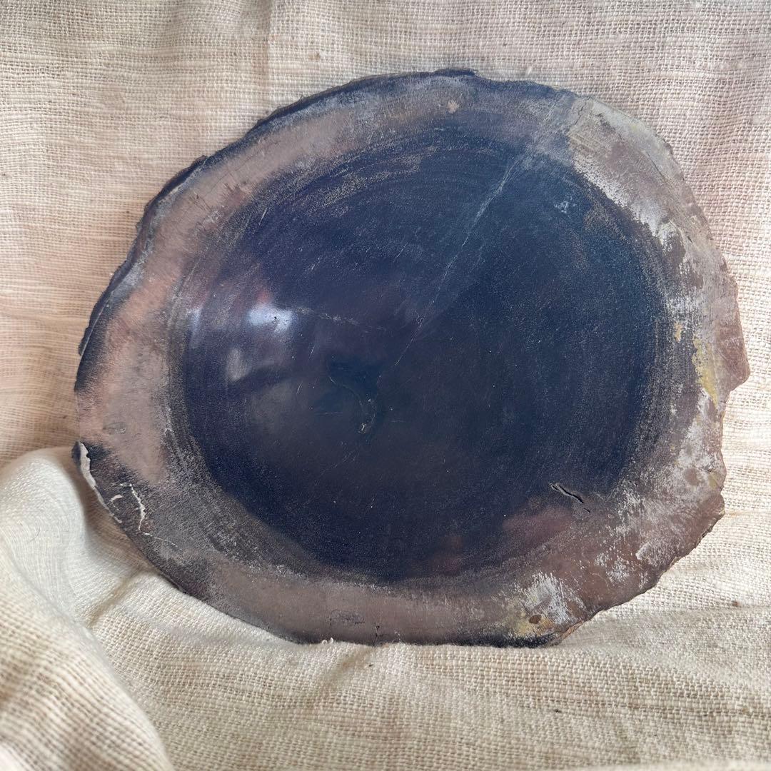 【珪化木】ペトリファイドウッド スラブ インドネシア産