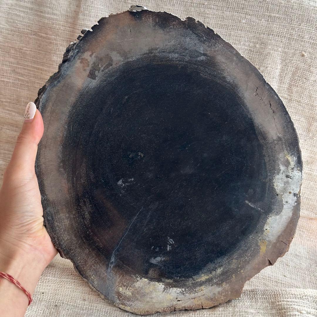 【珪化木】ペトリファイドウッド スラブ インドネシア産