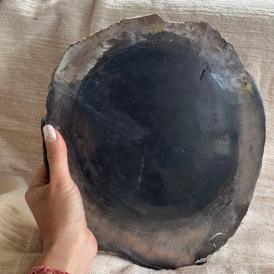 【珪化木】ペトリファイドウッド スラブ インドネシア産