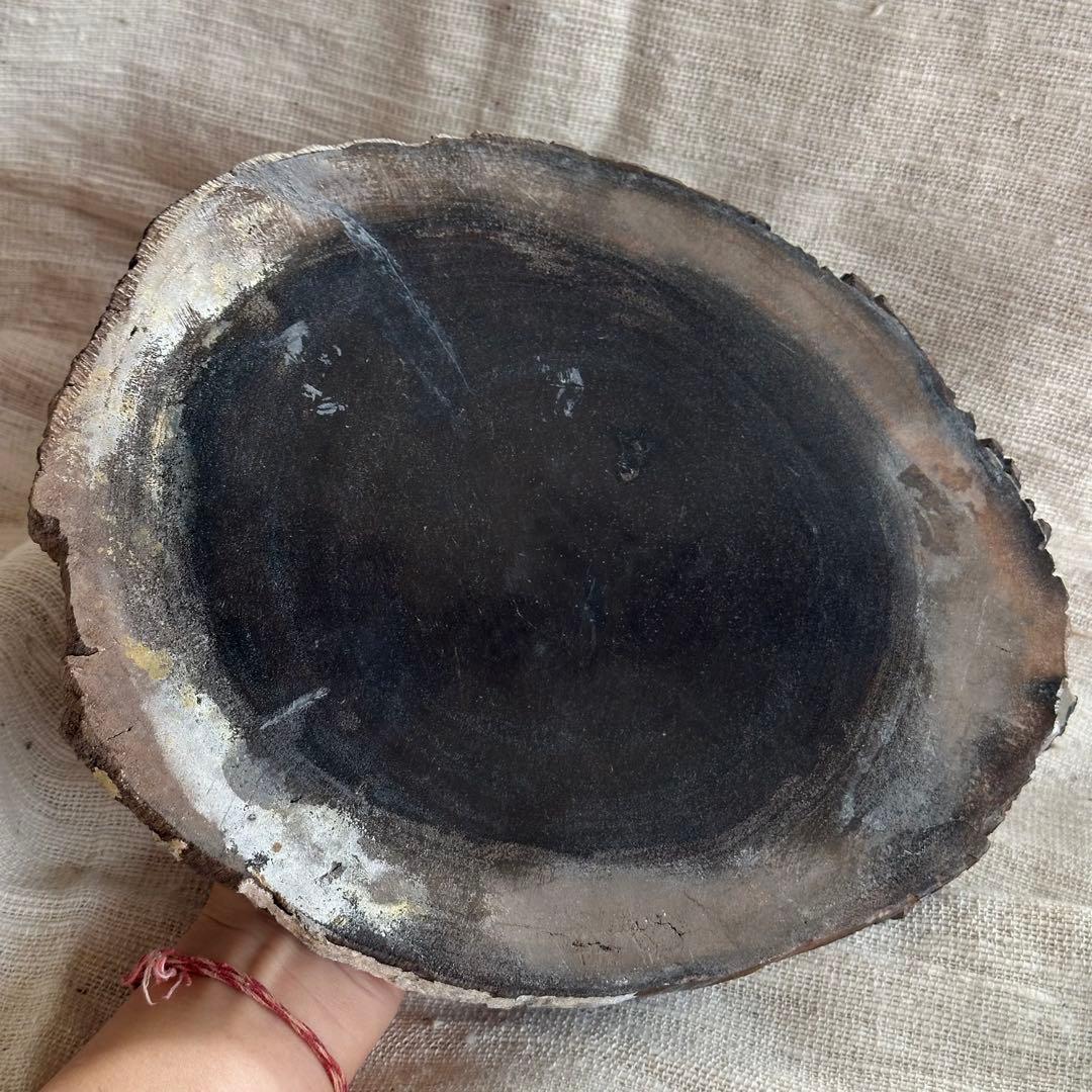 【珪化木】ペトリファイドウッド スラブ インドネシア産