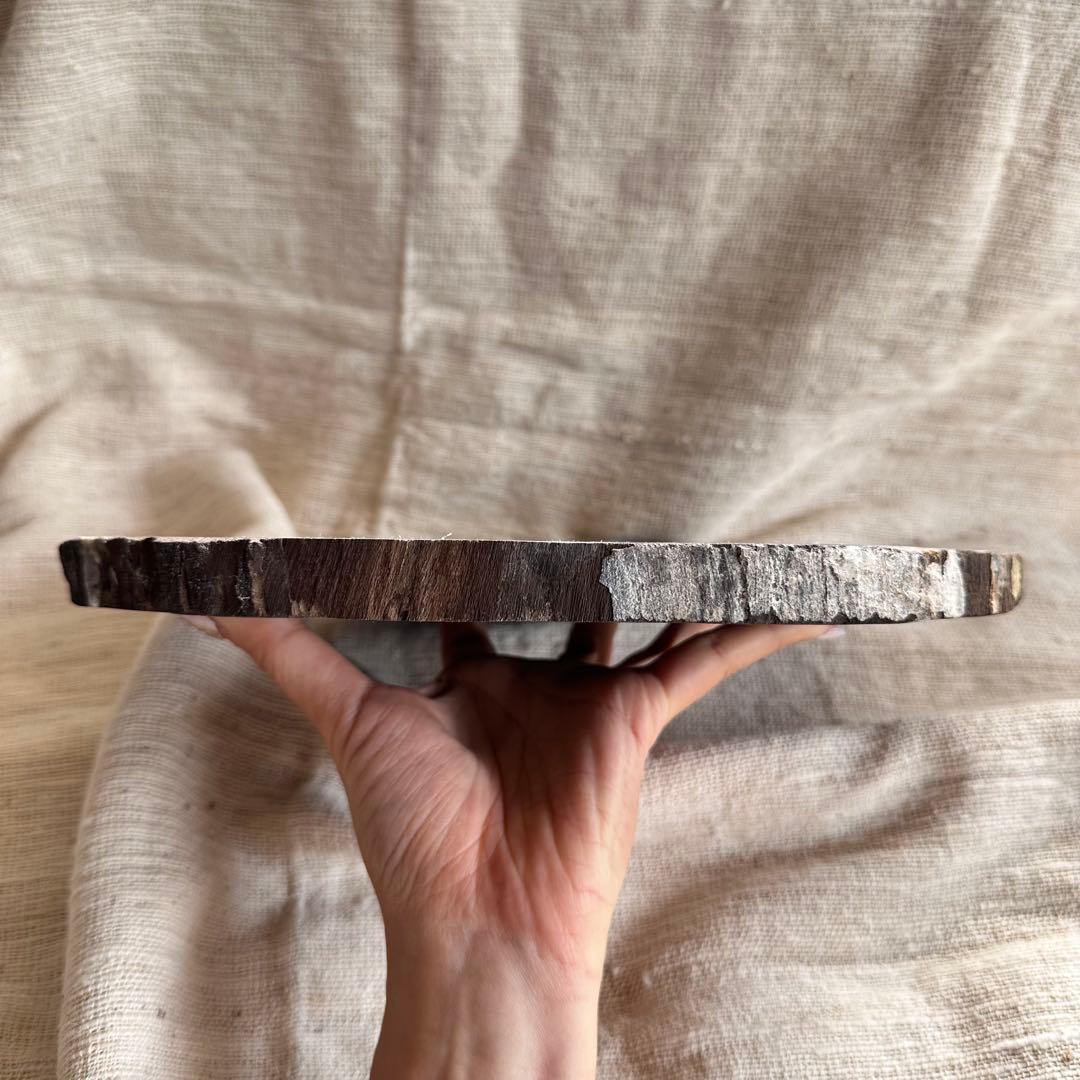 【珪化木】ペトリファイドウッド スラブ インドネシア産