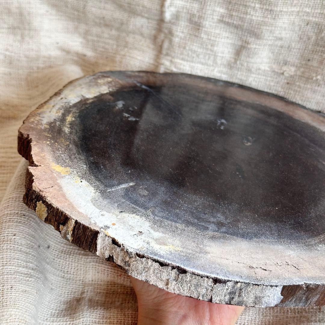 【珪化木】ペトリファイドウッド スラブ インドネシア産