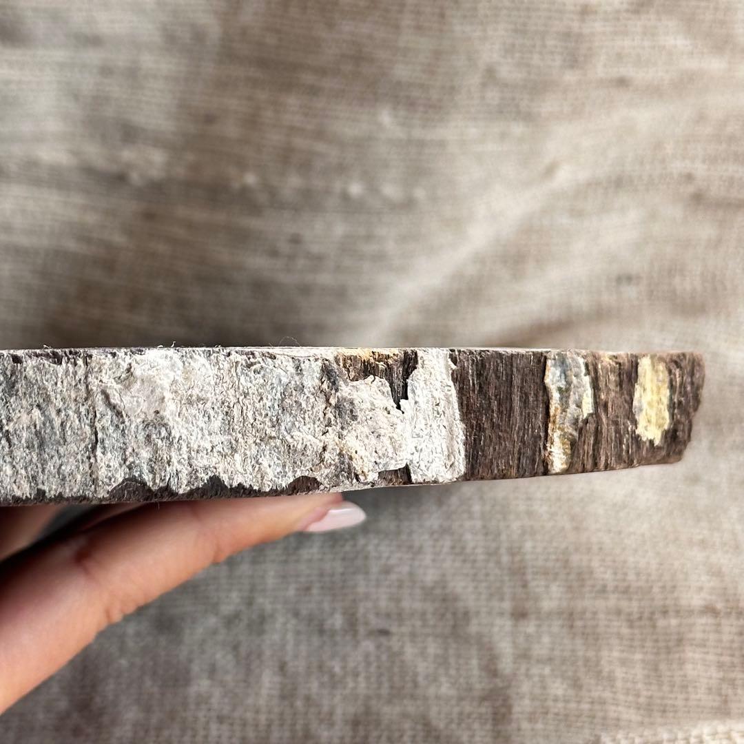 【珪化木】ペトリファイドウッド スラブ インドネシア産