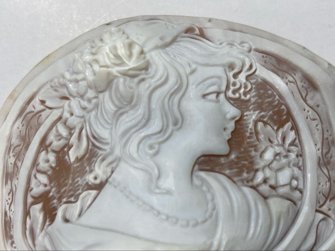 シェルカメオルース　作家エヴィン