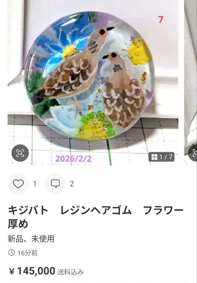 カヤ　☪︎⋆☽様　2.17 インコ　レジンヘアゴム　チョコクッキー