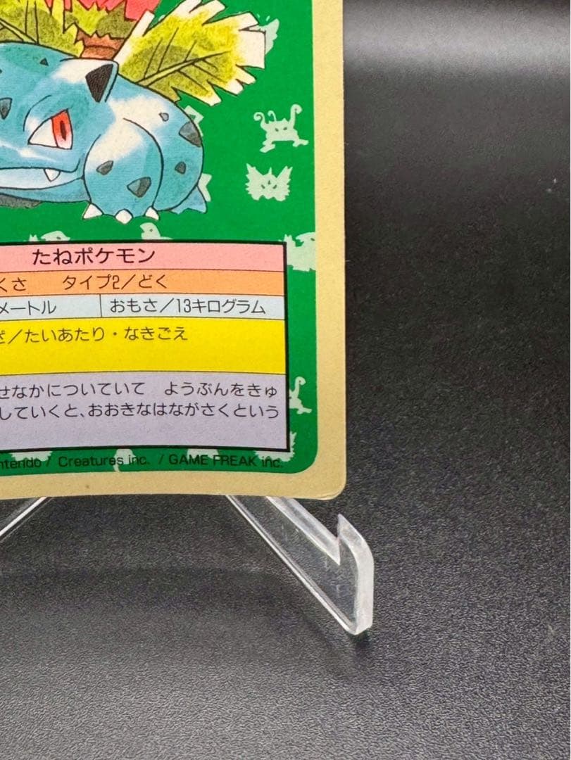 ポケモンカード トップサン フシギソウ エラー 番号なし 裏青 希少