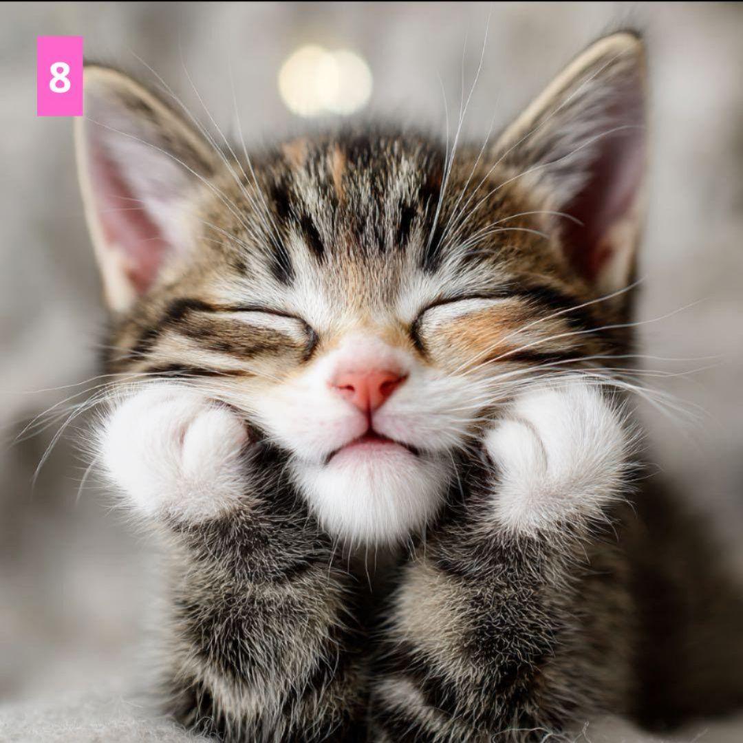 ♡みっちー♡様ご確認用♥オーダー品