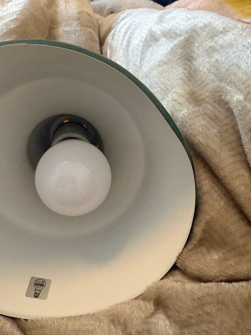 期間限定お値下げ！ハモサ　マルティ4灯ライトランプ緑色