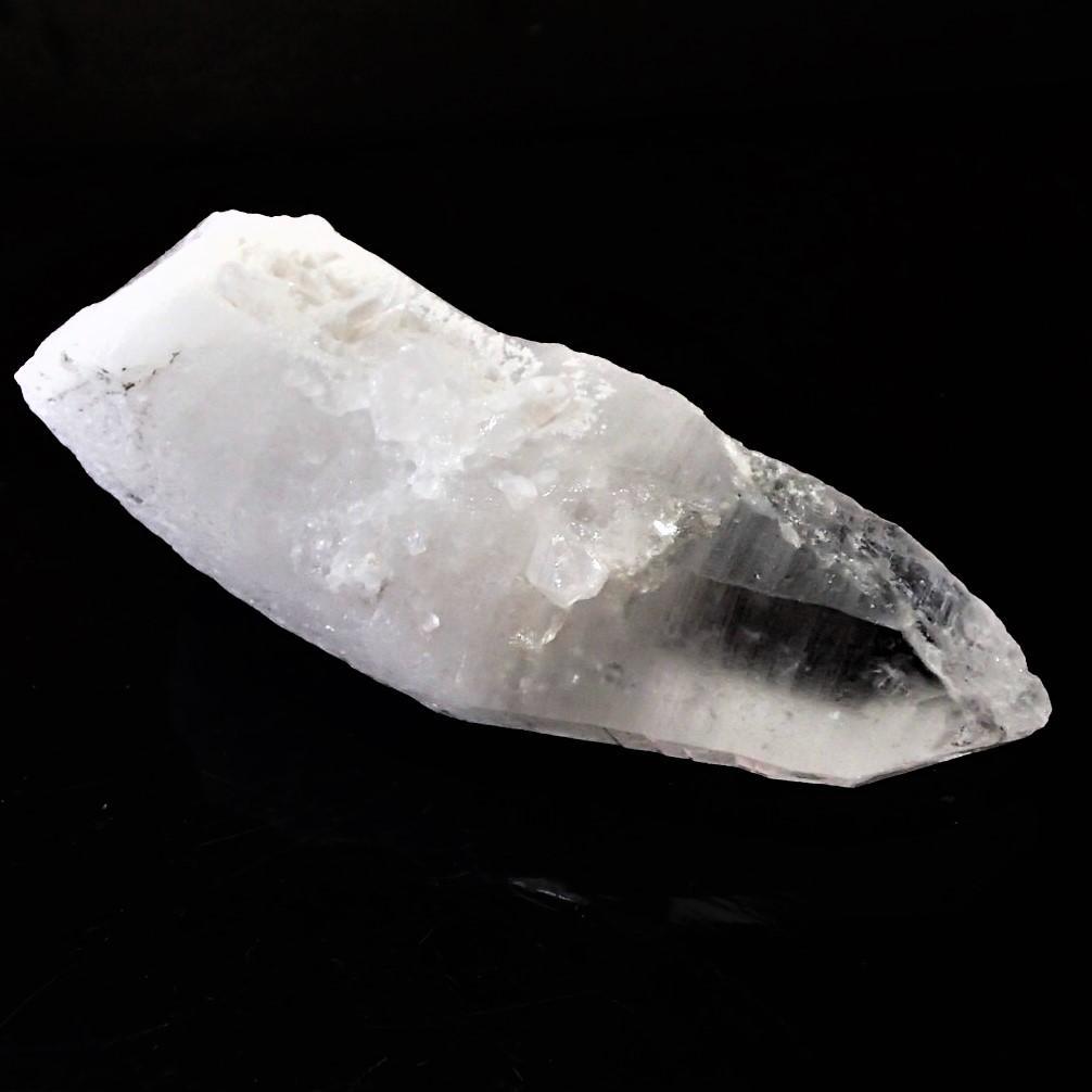 値下しました！ティップリン産ポイント-62-1