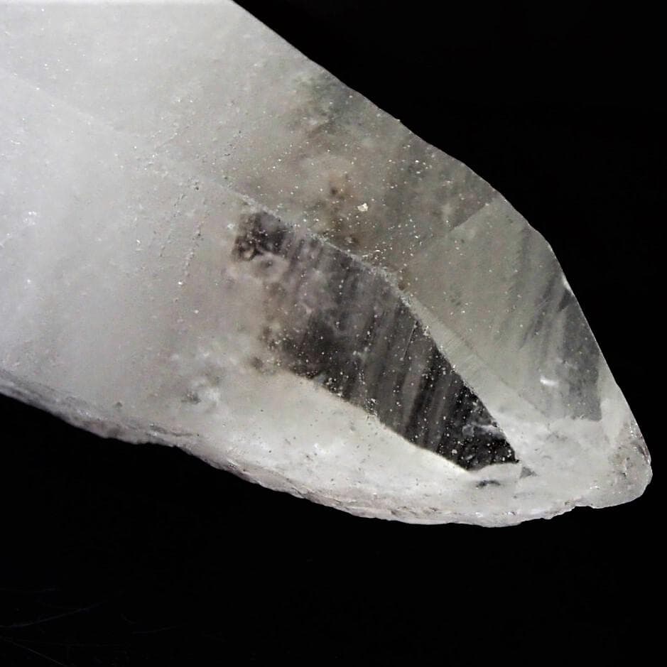 値下しました！ティップリン産ポイント-62-1