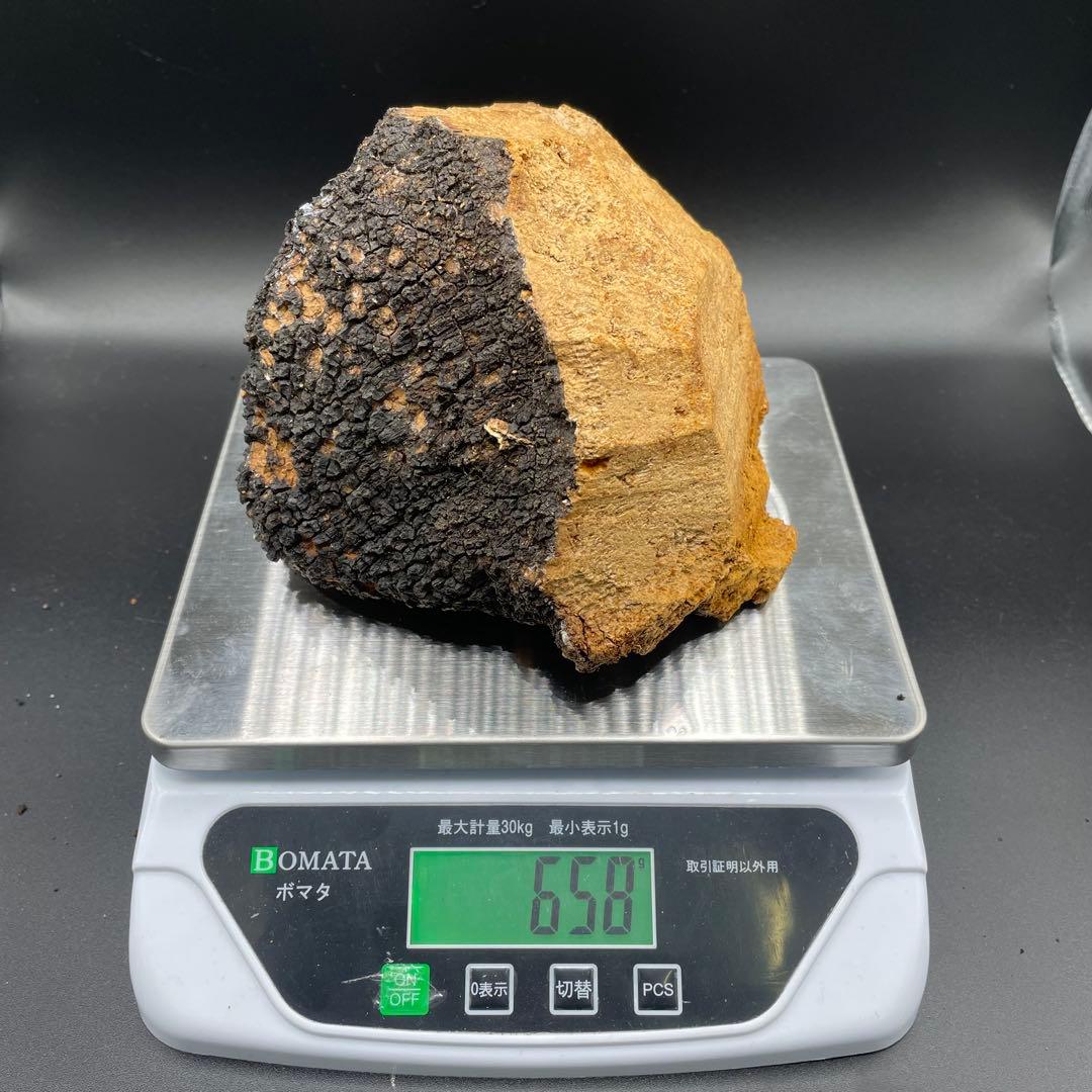 カバノアナタケ 原塊 2点セット 計約2.15kg（1.5kg＋0.65kg）