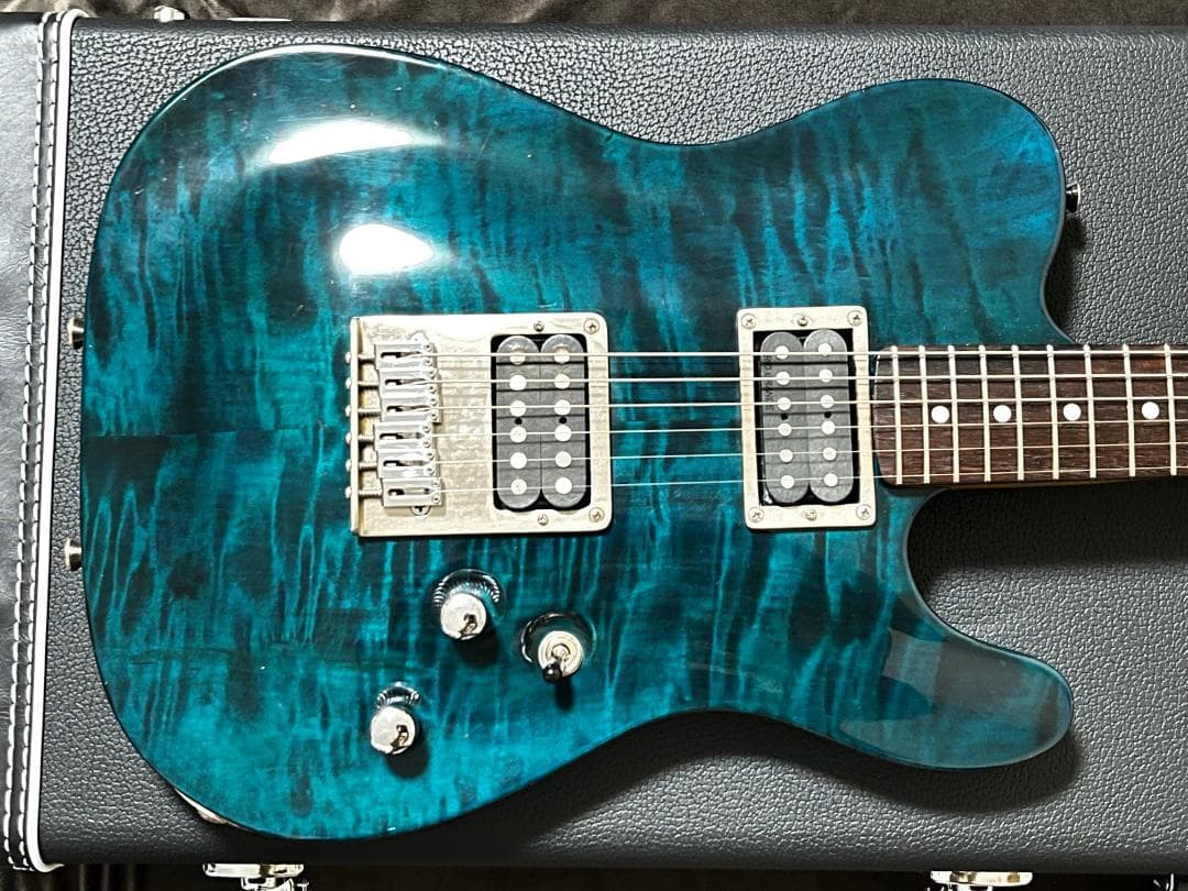 Vanzandt SCHECTER コンポーネントテレキャスター 上質木材使用 - メルカリ