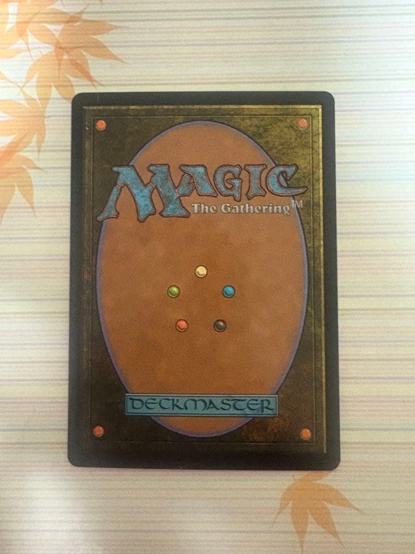 【サージ・Foil】《ユウナのガード、ティーダ》英語MTG FF EN