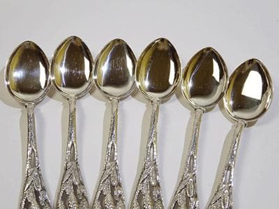 クリストフウィドマン コーヒーティースプーン6本セット(植物柄)