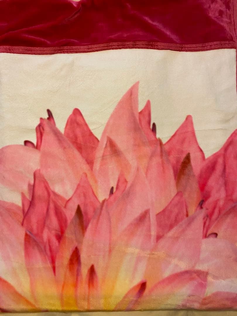 値下げ‼︎ Rady 毛布　ダブル　（180cm×210cm）