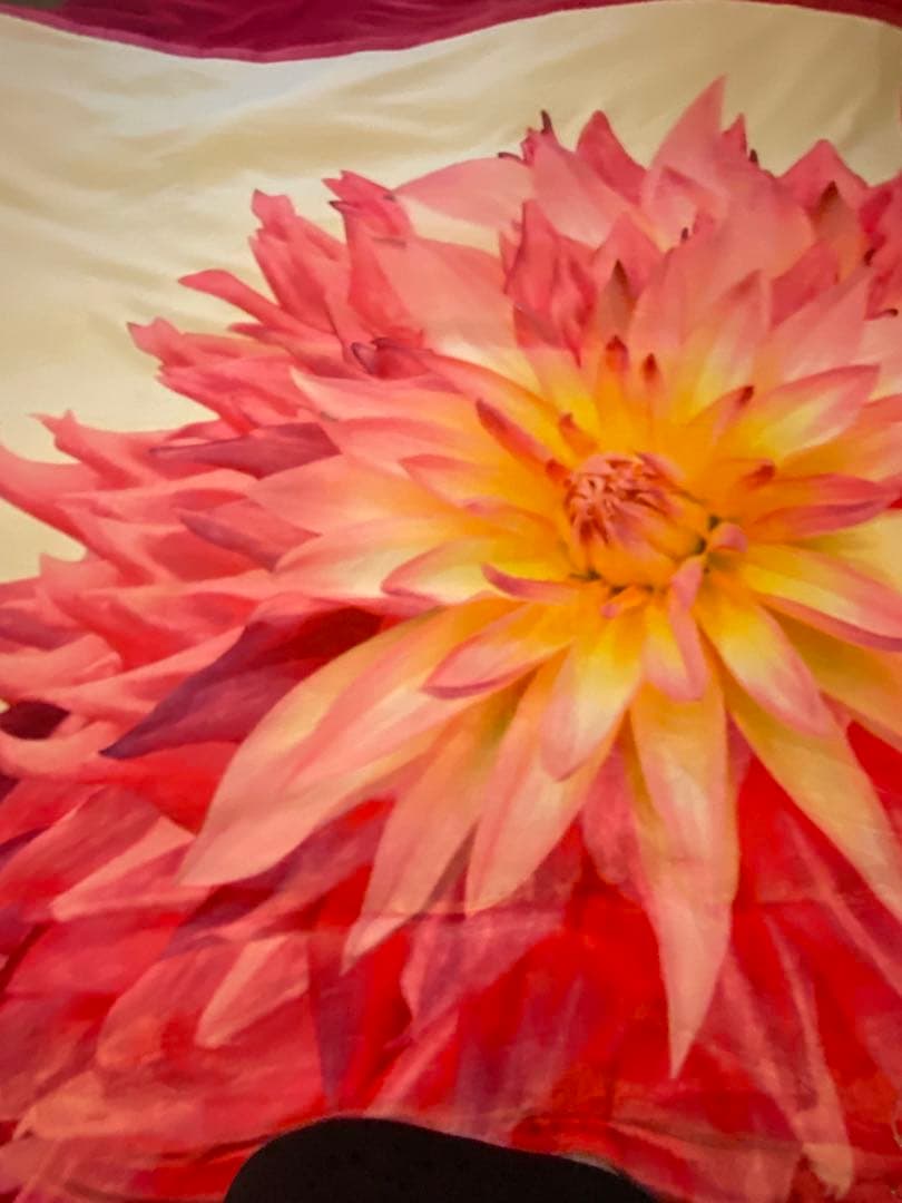 値下げ‼︎ Rady 毛布　ダブル　（180cm×210cm）