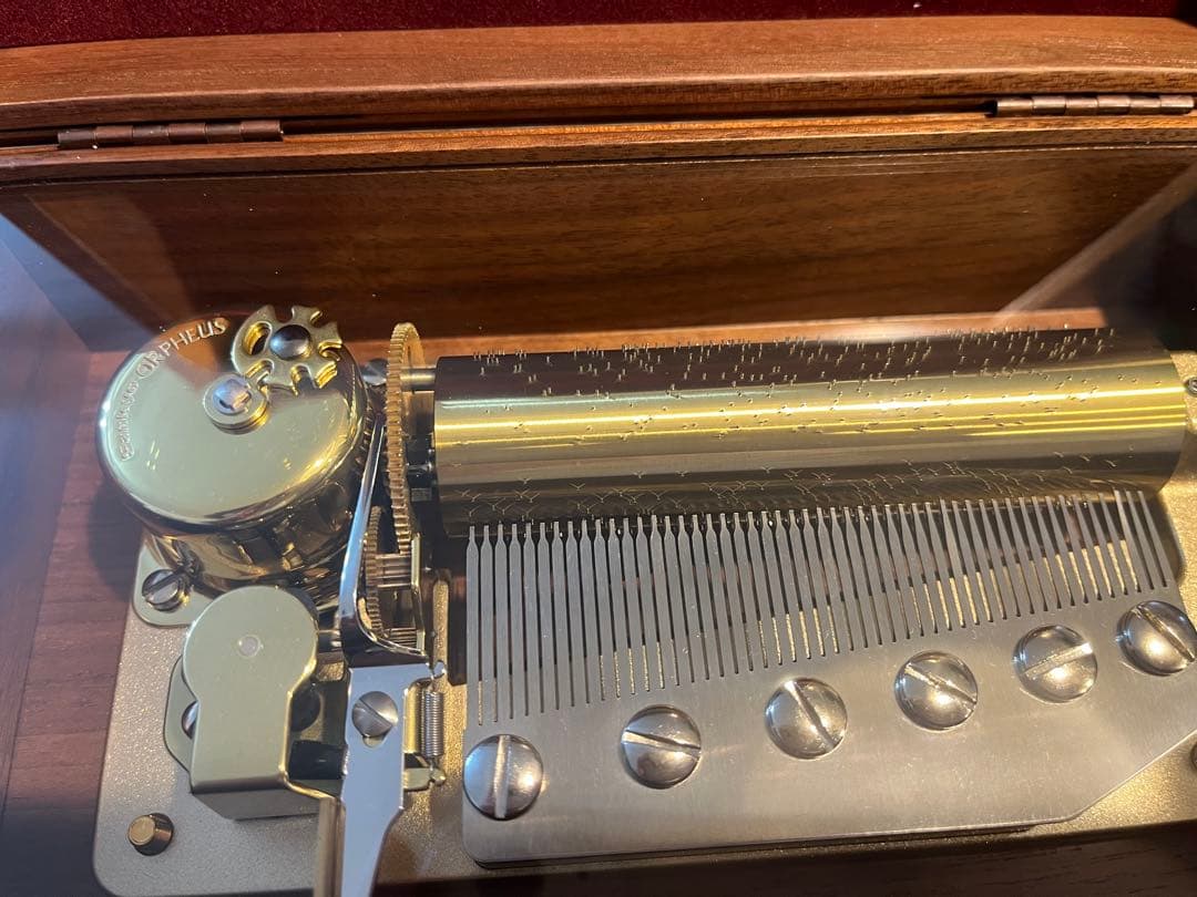 オルフェウス 50弁 世界に一つだけの花 3パーツ SX522 極美品