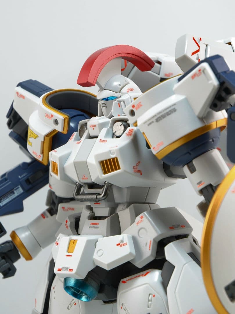 MG トールギス 塗装 完成品 バンダイ ガンプラ 1/100