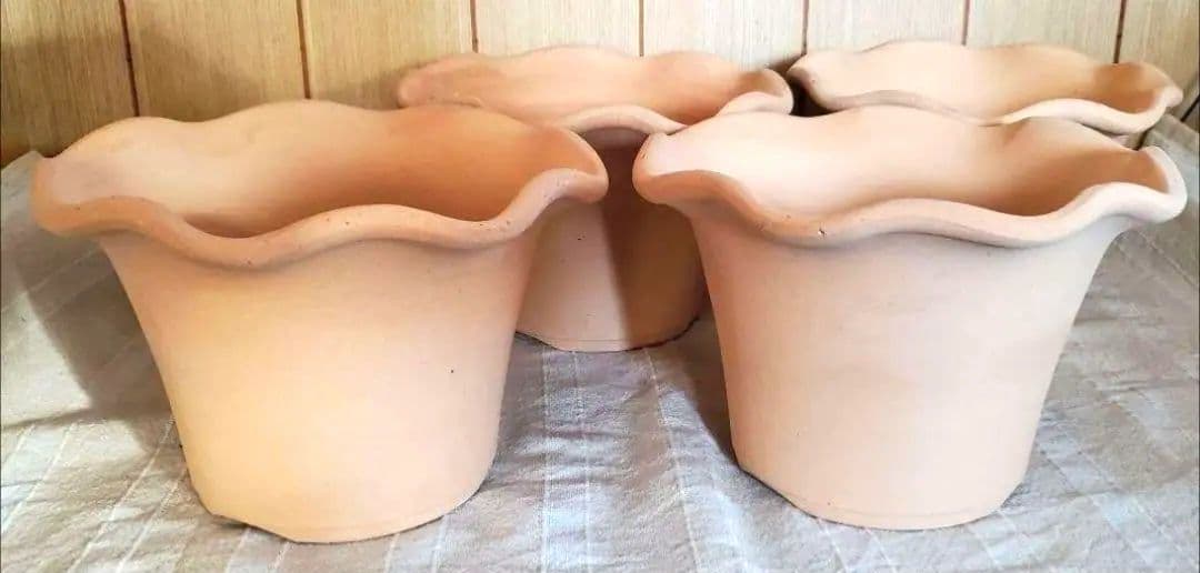 norinoriページ三河焼フリルテラしゅう窯白焼6号10ヶお買い得セット