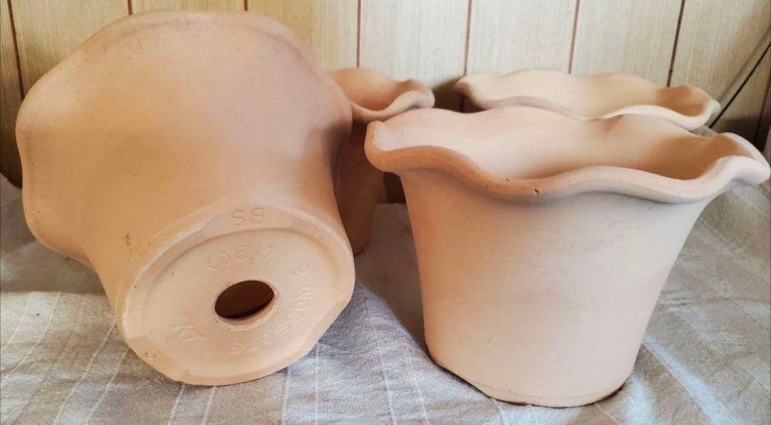 norinoriページ三河焼フリルテラしゅう窯白焼6号10ヶお買い得セット